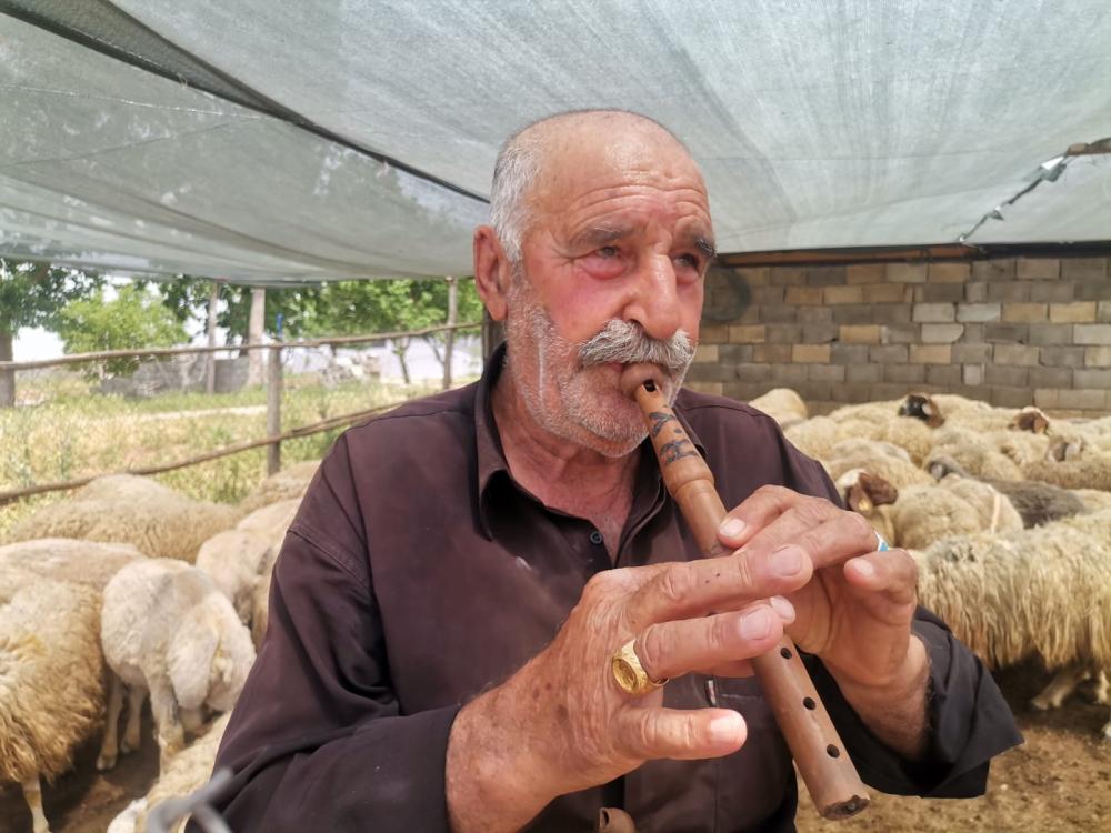 60 YILDIR SÜRÜSÜNÜN PEŞİNDE DOLANIYOR