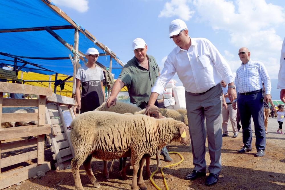 Osmaniye Kurban Pazarı İçin Tartışmalı Karar