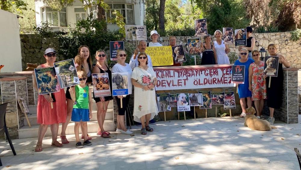 Gelibolu Çevre Dostu, Dost Patiler Derneği: Kan Kokan Yasa Teklifi Geri Çekilmelidir