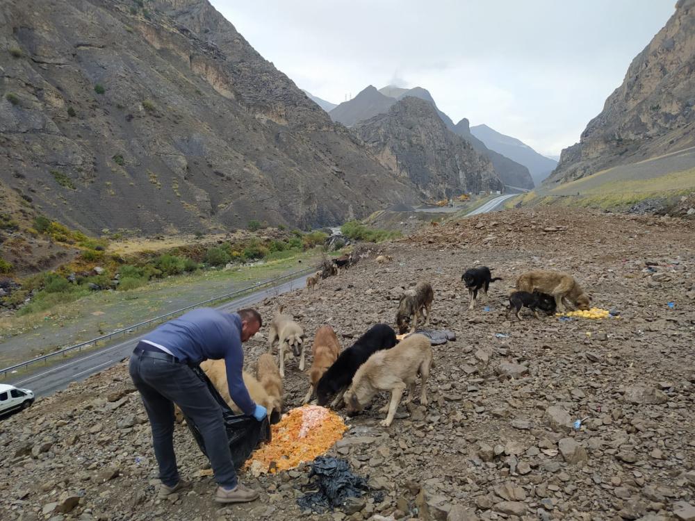 Hakkari’de Can Dostlara Yağmurlu Havada Mama Desteği