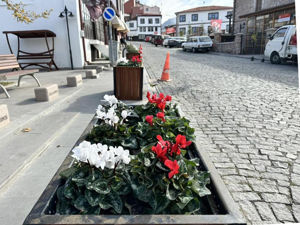 Güdül Belediyesi, Cumhuriyet Coşkusunu Kırmızı-Beyaz Çiçeklerle Yaşatacak