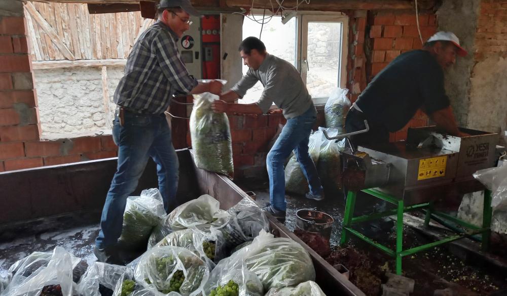 BEYPAZARI’NDA PEKMEZ TOPRAĞI KRİZİ: ÜRETİCİLER ZORLUK YAŞIYOR