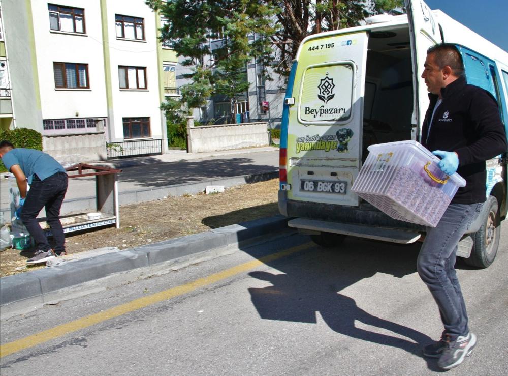 Beypazarı Belediyesi’nden Sokak Hayvanları İçin Kulübe ve Mama Desteği