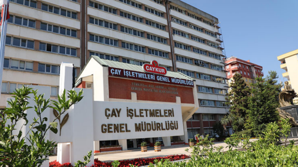 ÇAYKUR’DAN ÜRETİCİLERE ÖDEME: İKİNCİ TAKSİT HESAPLARA YATIYOR