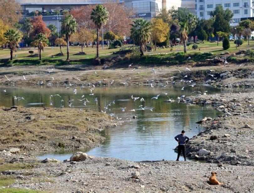 Seyhan Nehri’ne Su Verildi: Balık Ölümlerinin Önüne Geçildi