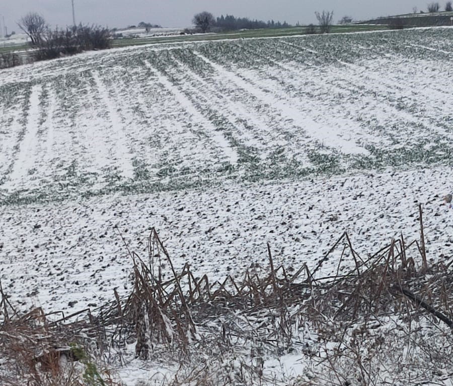 Gelibolu’da Yeni Yılın İlk Karı Kırsalları Beyaza Bürüdü