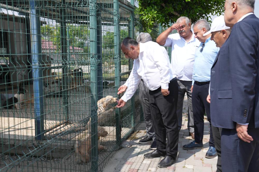 Genişletilen bölgede tedavi, bakım ve kısırlaştırma işlemleriyle birlikte, doğal yaşam alanı da oluşturuldu