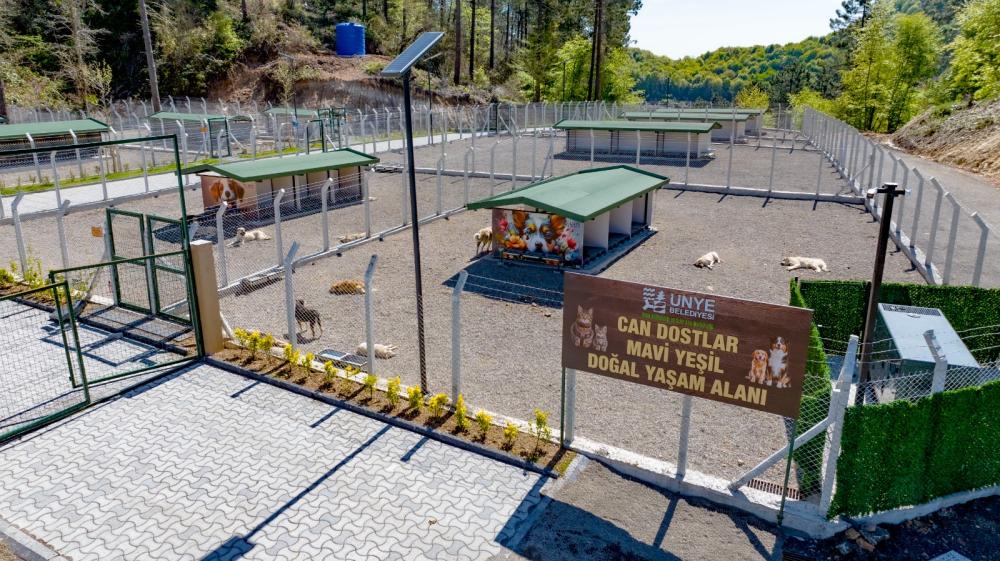CAN DOSTLAR MAVİ-YEŞİL DOĞAL YAŞAM ALANI AÇILIYOR