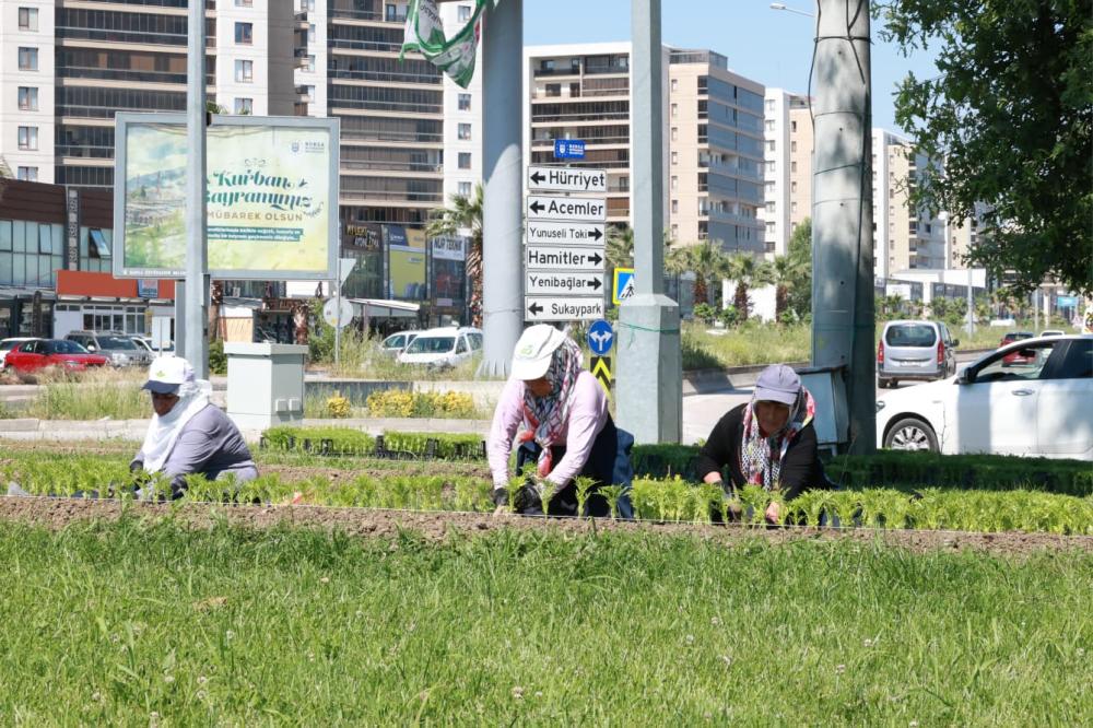 Bu Yaz Osmangazi’de Çiçek Kokuları Eksik Olmayacak 