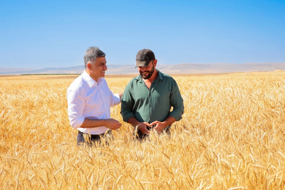 KANATLI BUĞDAYI'NIN İLK TOHUMLUK HASADI  GERÇEKLEŞTİRİLDİ