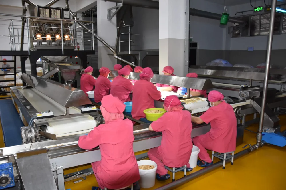 Ordu'da 223 Projeye 176,7 Milyon TL Hibe Desteği